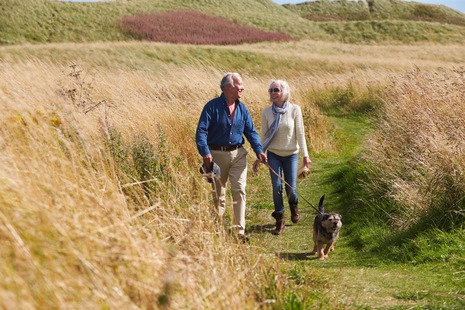 Dog-walking leads to a Higher Risk of Bone Fractures in Older Adults
