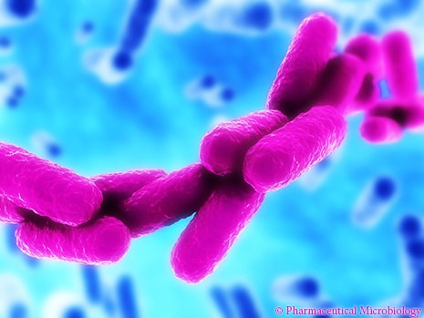 Increase in treatment resistant bacteria could lead to a world without antibiotics