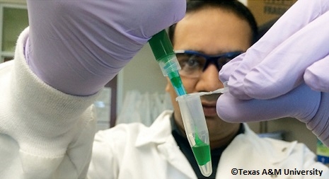 Texas A&M Research Team Develop Injectable Hydrogel Bandage that Stops Bleeding Wounds from Inside the Body