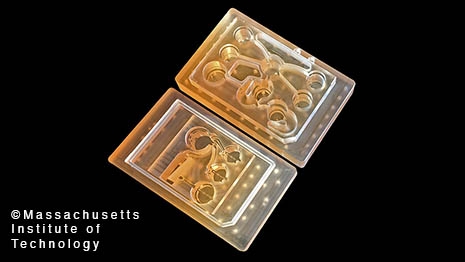“Body on a Chip”, developed by MIT engineers, tests a drug's effect on different organs simultaneously before human consumption, avoiding animal testing all together. 